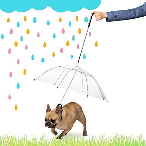 Ombrello portatile trasparente cane animali antivento pioggia guinzaglio collare