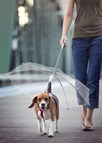 Ombrello portatile trasparente cane animali antivento pioggia guinzaglio collare