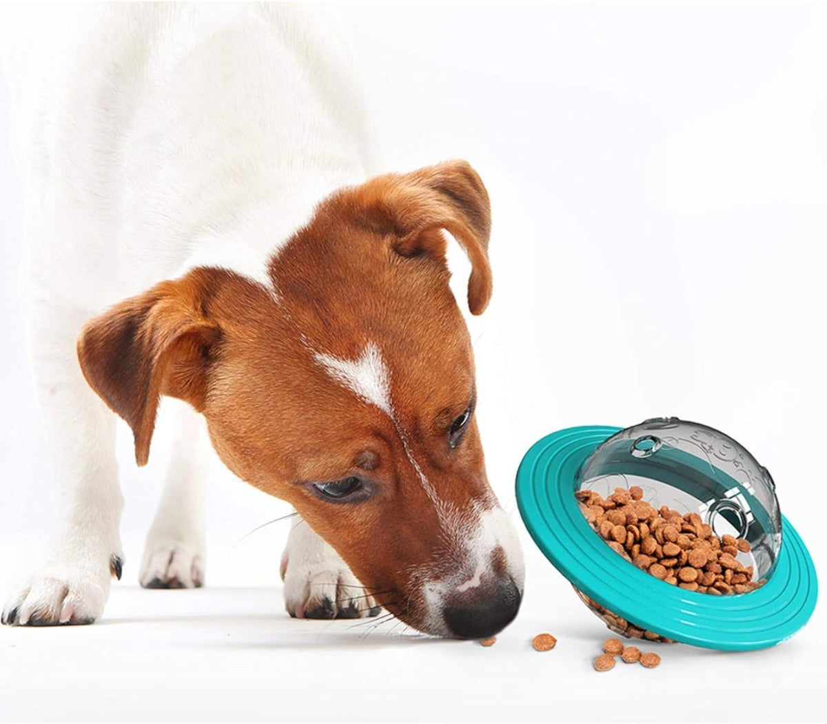 Ciotola gioco cane frisbee cibo per cani giocattolo cane interattivo ed educativo