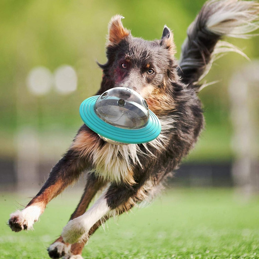 Ciotola gioco cane frisbee cibo per cani giocattolo cane interattivo ed educativo