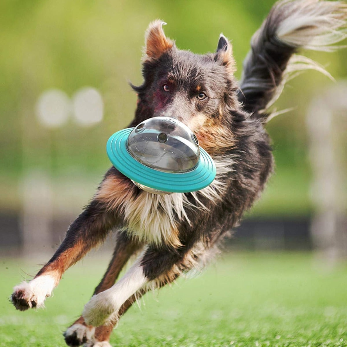 Ciotola gioco cane frisbee cibo per cani giocattolo cane interattivo ed educativo