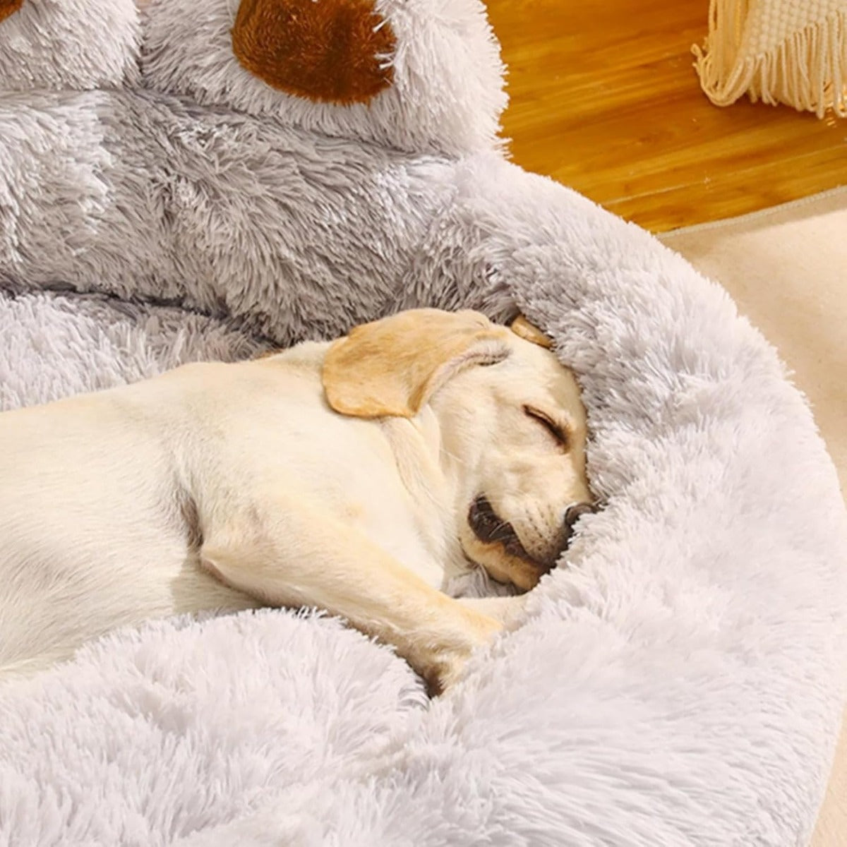 Senny - La Cuccia per Cani a Forma di Zampa 60 Cm , Calda e Accogliente Marrone