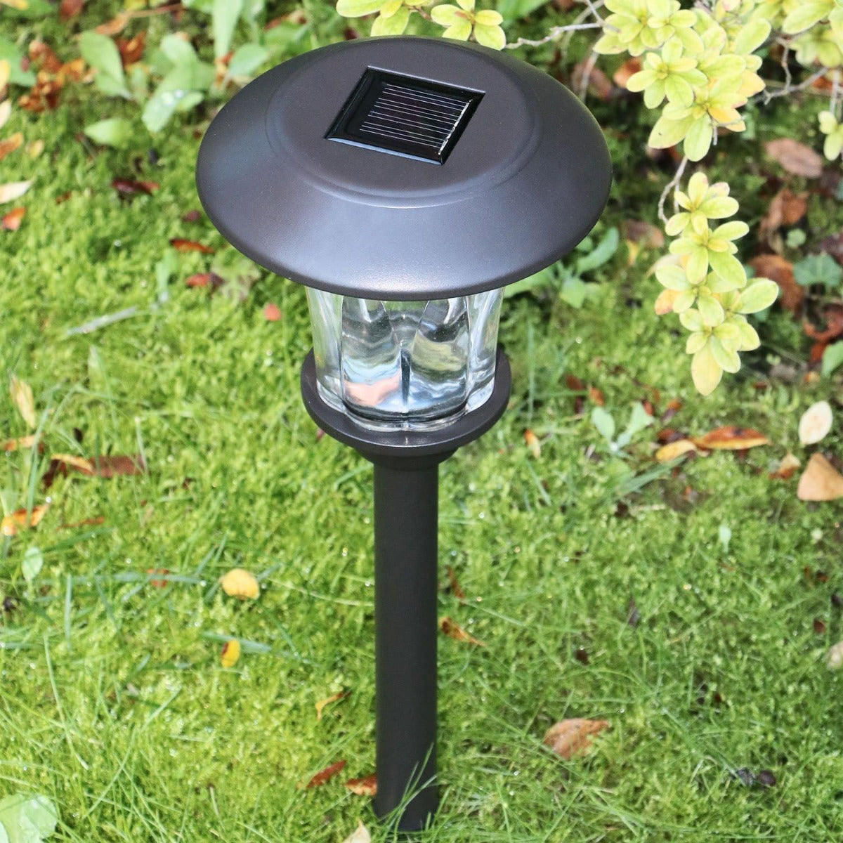 Luce Solare LED TE-B0154 da Giardino in Acciaio Inossidabile con Paralume in Vetro Diamantato