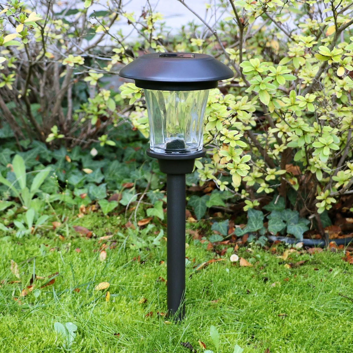 Luce Solare LED TE-B0154 da Giardino in Acciaio Inossidabile con Paralume in Vetro Diamantato