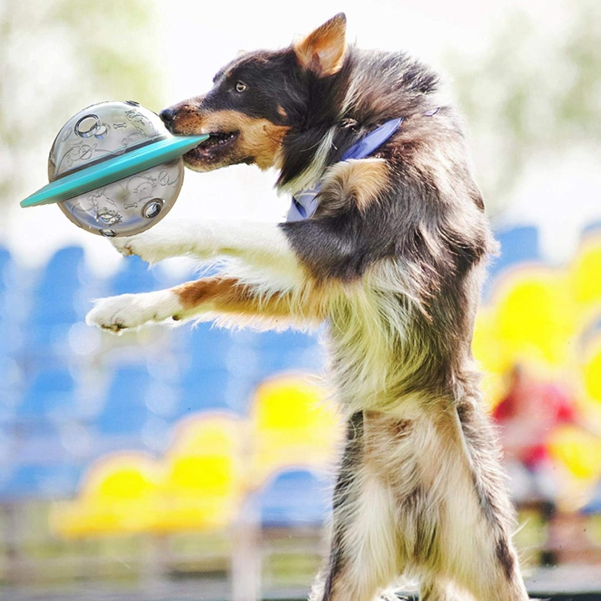 Ciotola gioco cane frisbee cibo per cani giocattolo cane interattivo ed educativo