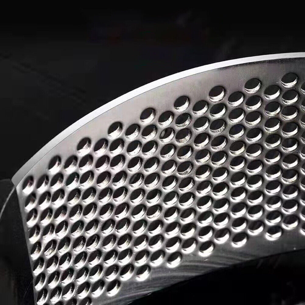 Schiacciatrice manuale aglio in acciaio inox strumento da cucina strumento da cucina